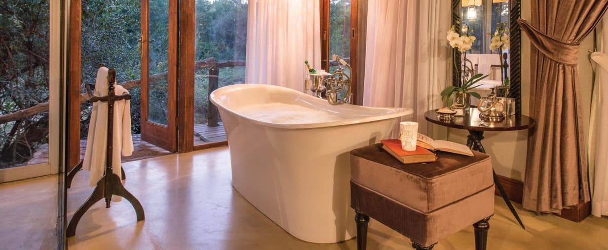 Complete African safari package experience